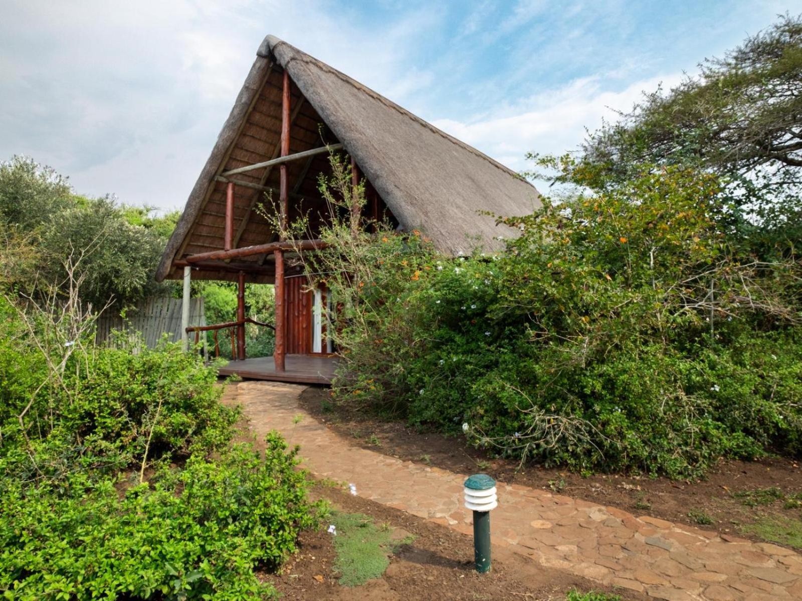 Rhino River Lodge Manyoni Private Game Reserve エクステリア 写真