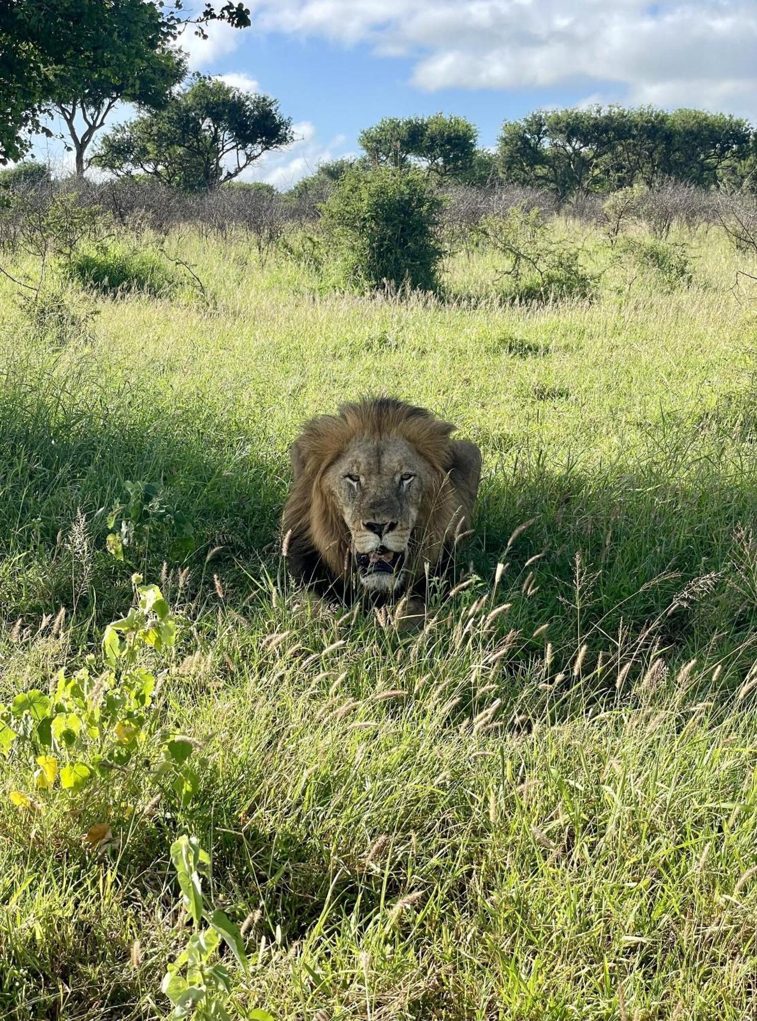 Rhino River Lodge Manyoni Private Game Reserve エクステリア 写真